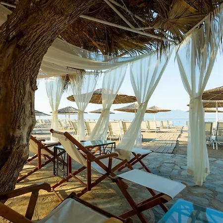 Charm فندق 4*